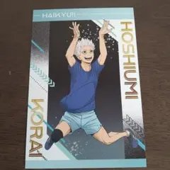 ハイキュー!! ユース・疑似ユース合宿フェア アニメイト特典 ポストカード