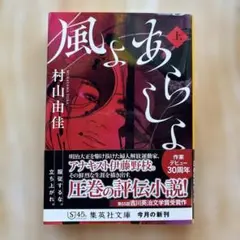 風よ あらしよ 上