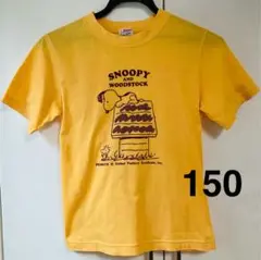 150 ファミリア スヌーピー Tシャツ 黄色