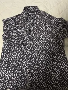 Item thumbnail for item a8f7ec21-df00-4422-a08a-3a844685ad3c