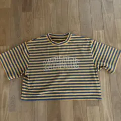 AUTHENTIC ストライプTシャツ Lサイズ