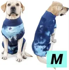 Item thumbnail for item 60861d36-bc90-4f7f-8611-ca6175d10ffb