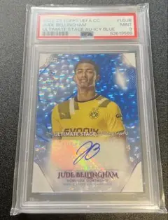 Item thumbnail for item f46ed901-936e-4efc-8d8b-9fc2bda23efe
