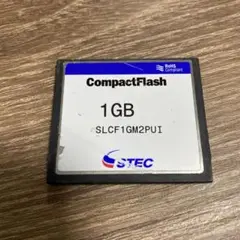 コンパクトフラッシュ　1GB