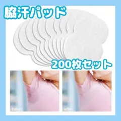 Item thumbnail for item 636afc81-abd1-49e9-8349-3b44183dc21b