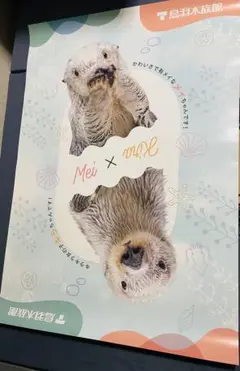 鳥羽水族館⭐️⭐️ポスター⭐️ラッコ⭐️メイ⭐️キラ 71VwNhdvRNL._UF350,350_QL50_.jpg