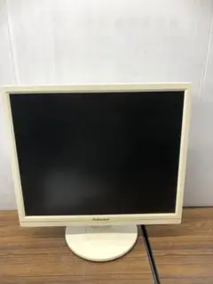 Princeton　モニター　PTFWUF-19 19インチ