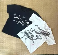insect collection 120子供用Tシャツ２枚