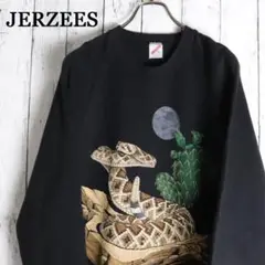 80ｓ　ＵＳＡ製　ジャージーズ　スネーク　サボテン　ムーン　アートスウェット