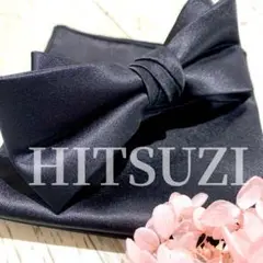 Item thumbnail for item 78c7bc10-e562-41fa-8250-d67e4b1059f8