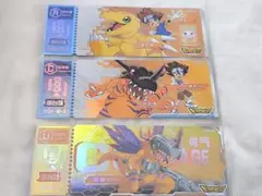 デジモンアドベンチャー オーロラチケット風カード 中国限定 八神太一