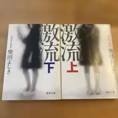 激流 上下2冊セット