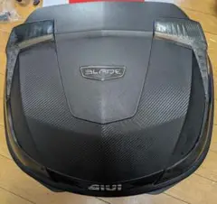 Item thumbnail for item 4aaf9492-3776-4537-8355-52d931bf84ab