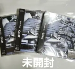 公式 未開封 straykids スキズ GIANT CD