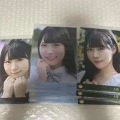 大西葵 封入