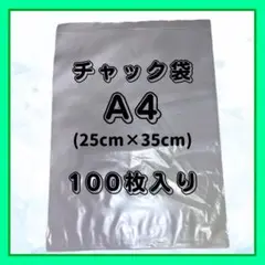 チャック付きビニール袋 A4 100枚