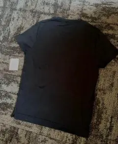 FEDELI JERSEY GIZA cotton T-SHIRT ギザ