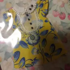 Item thumbnail for item 872140f5-48ca-460a-a7cc-35d0f640535c