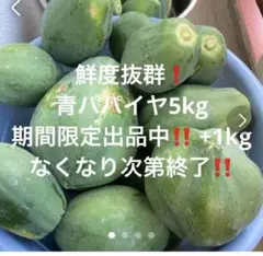 青パパイヤ5kg+1kg増量中。