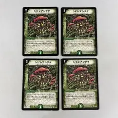 136081 シビレアシダケ