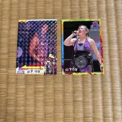 山下りな　プロレスカード2枚セット