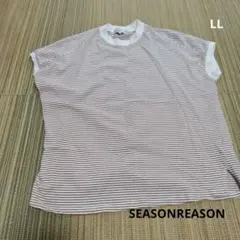 SEASONREASON　 ホワイト/ブラウンストライプ 半袖Tシャツ LL