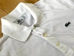 LACOSTE/ラコステ/3/フレンチ/SLIM/フララコ/PH1211