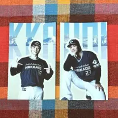 北海道日本ハムファイターズ　ステッカー　山崎福也　伏見寅威　さちとら