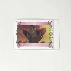 Yes! プリキュア5 gogo! ぱしゃこれ シロップ 箔押し レア