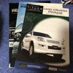 Item thumbnail for item 47cc2461-abe2-4f50-9d6c-9ef75706e90b