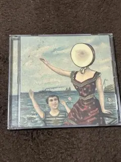 In The Aeroplane Over The Sea