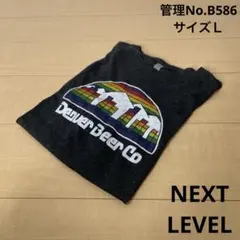 メンズ　USA古着　片面プリント　Tシャツ ダークグレー　NEXT LEVEL