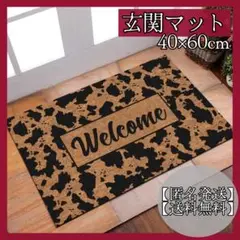 玄関マット　フロアマット　　バスマット　40×60 洗える