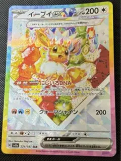 テラスタルフェスex イーブイex