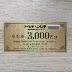 アイシテネニイガタ 観光応援キャンペーン 宿泊券3000円分