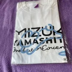 Item thumbnail for item 58de5712-bbec-49dc-948e-d8debdf46a46