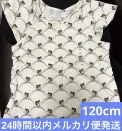 【新品か】ポール&ジョー UT 猫柄 120cm ユニクロ 半袖 Tシャツ