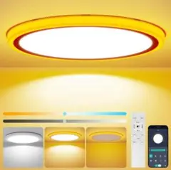 Item thumbnail for item 192203a9-6a53-4b0d-9e32-9984e4eecb0e