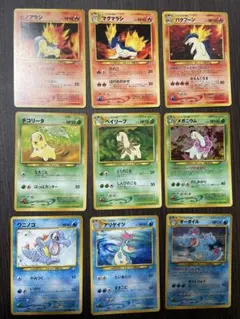 【旧裏】メガニウム・バクフーン・オーダイル他　御三家９枚セット NEO