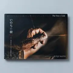 新品未開封 絶版 スピッツ 内藤順司 言葉ははかない : 1991～2011 2025年最新】スピッツ 写真集 言葉ははかないの人気アイテム