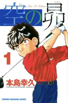 【さらに値下げしました！】空の昴 全21巻セット（本島幸久）