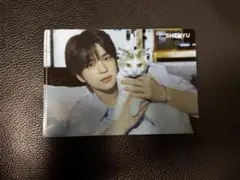 SHINYUシニュ JOYSOUND ミニクリアファイルtws