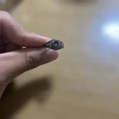カレッジリング
