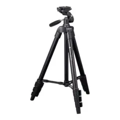 Item thumbnail for item 5d504d24-0863-4866-8cbd-51dc02b06eab