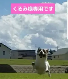 ♡専用です♡