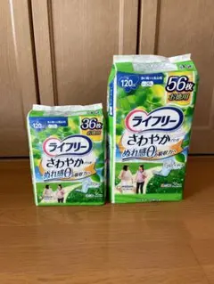 Item thumbnail for item d12a1f32-c4ac-4112-82fa-33e63121ffc0