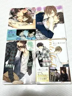 美しい彼シリーズ　小説 4冊セット
