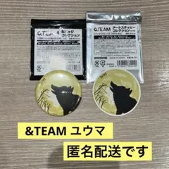 &TEAM 缶バッジ アートステッカー アニメイト　YUMA ユウマ