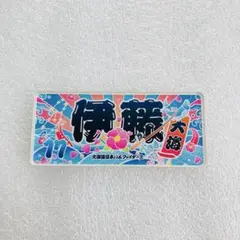 ファイターズ　シークレット　伊藤大海