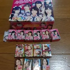 AKB48 ぷっちょストラップ6個とミニ写真集4冊